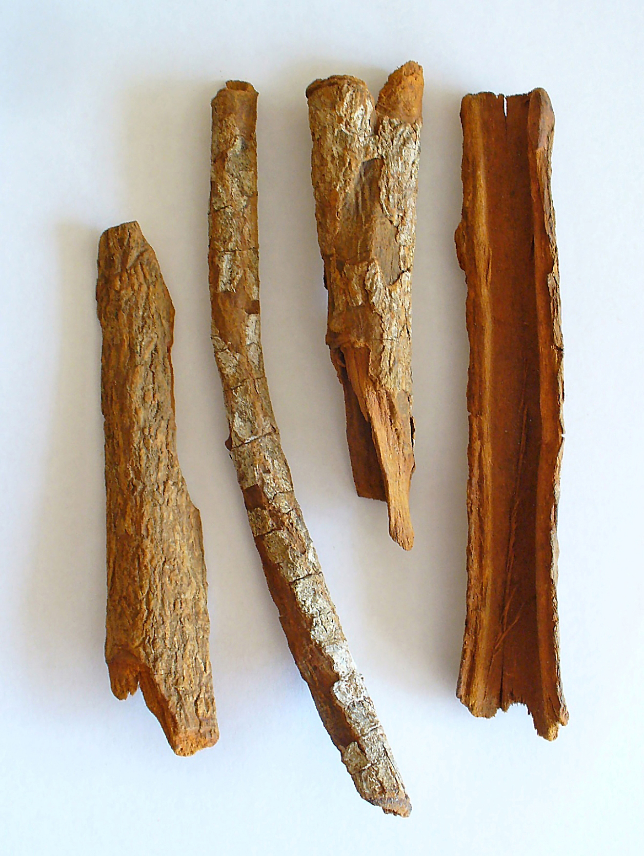 Кора хинного дерева (Cinchona officinalis) — источник хинина и горечи аперитива
