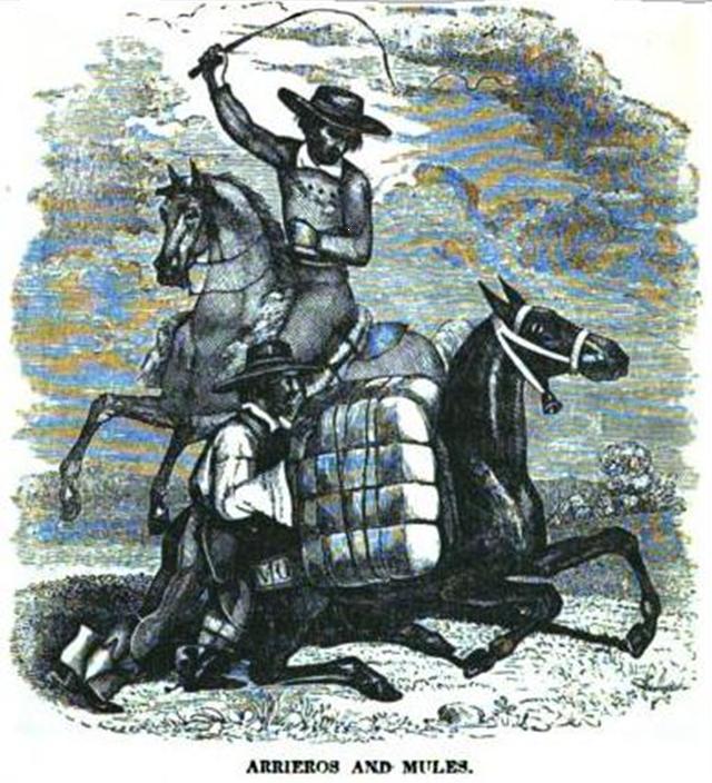 Погонщики с мулами в Мексике, XIX век — тахону на El Centenario мулы тянут до сих пор